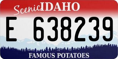 ID license plate E638239
