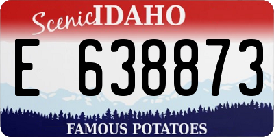 ID license plate E638873