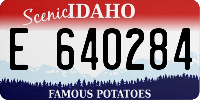 ID license plate E640284