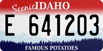 ID license plate E641203