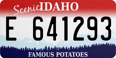 ID license plate E641293