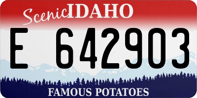 ID license plate E642903
