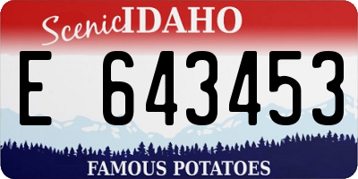 ID license plate E643453