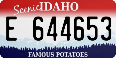 ID license plate E644653