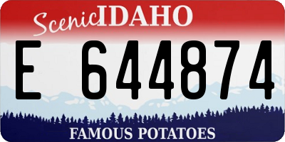 ID license plate E644874