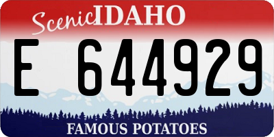 ID license plate E644929