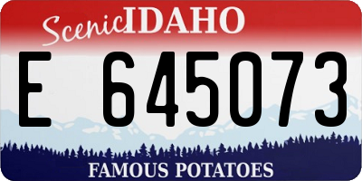 ID license plate E645073