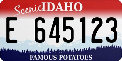 ID license plate E645123