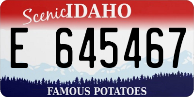 ID license plate E645467