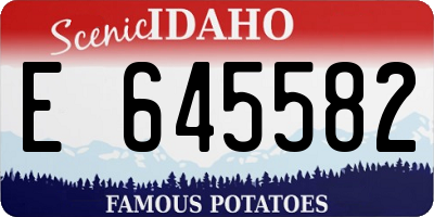 ID license plate E645582