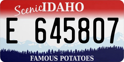 ID license plate E645807