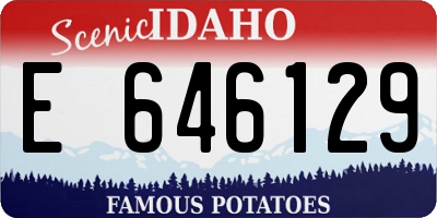 ID license plate E646129