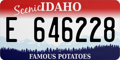 ID license plate E646228