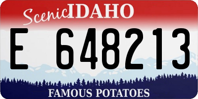 ID license plate E648213