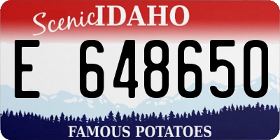 ID license plate E648650
