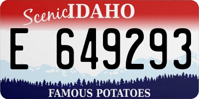 ID license plate E649293