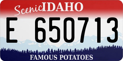ID license plate E650713