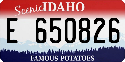 ID license plate E650826