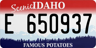 ID license plate E650937