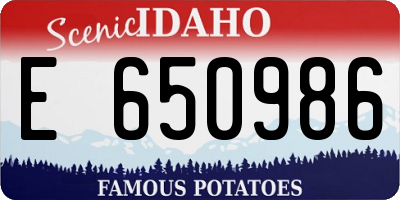 ID license plate E650986