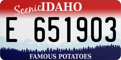 ID license plate E651903