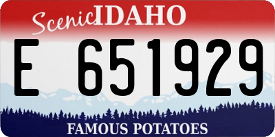 ID license plate E651929