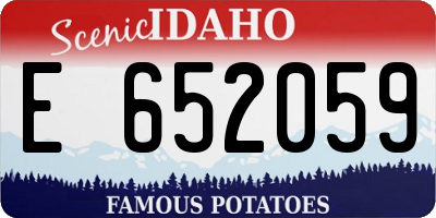 ID license plate E652059