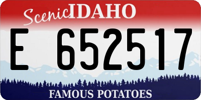 ID license plate E652517