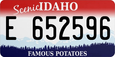 ID license plate E652596