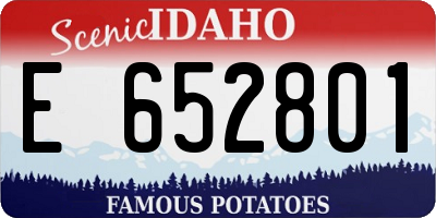ID license plate E652801