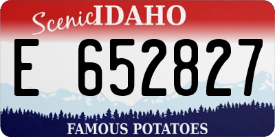 ID license plate E652827