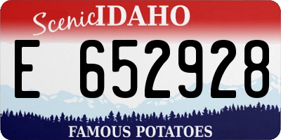 ID license plate E652928
