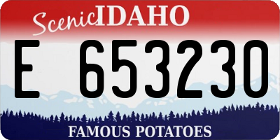 ID license plate E653230