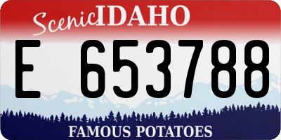 ID license plate E653788