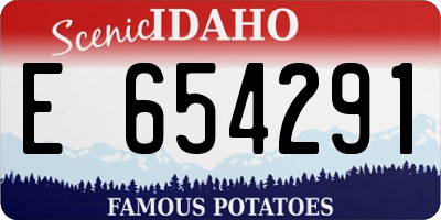 ID license plate E654291
