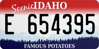 ID license plate E654395