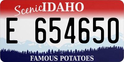 ID license plate E654650
