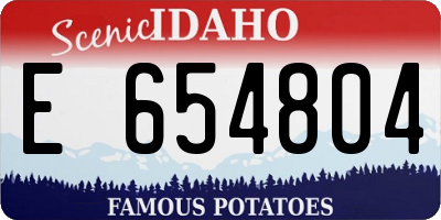 ID license plate E654804