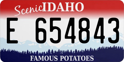 ID license plate E654843