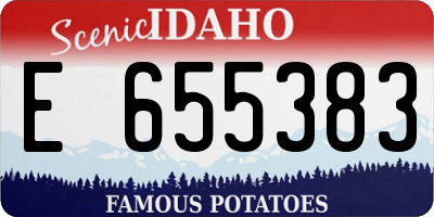 ID license plate E655383