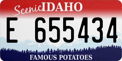 ID license plate E655434