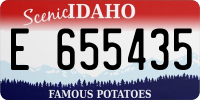 ID license plate E655435