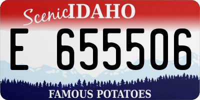 ID license plate E655506