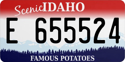 ID license plate E655524