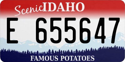 ID license plate E655647