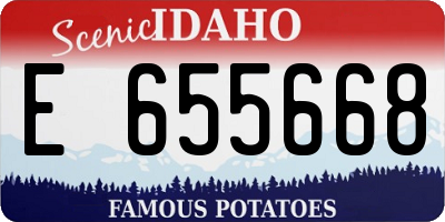 ID license plate E655668
