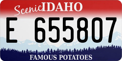 ID license plate E655807