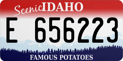 ID license plate E656223