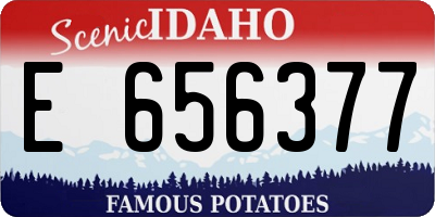 ID license plate E656377