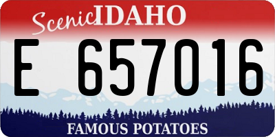 ID license plate E657016
